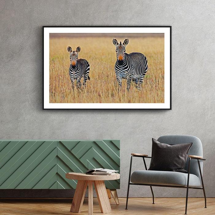 Walljar Familie Zebra's