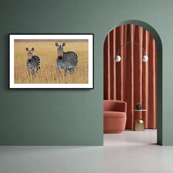 Walljar Familie Zebra's