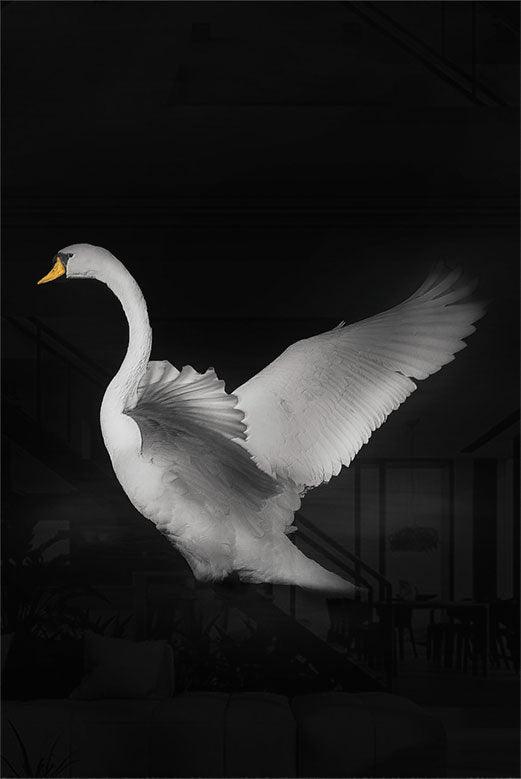 walljar Flapping Goose