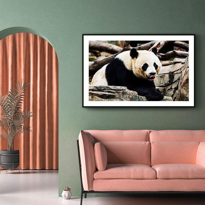 Walljar Giant Panda