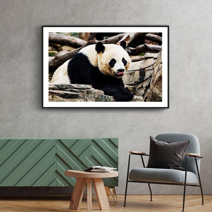 Walljar Giant Panda
