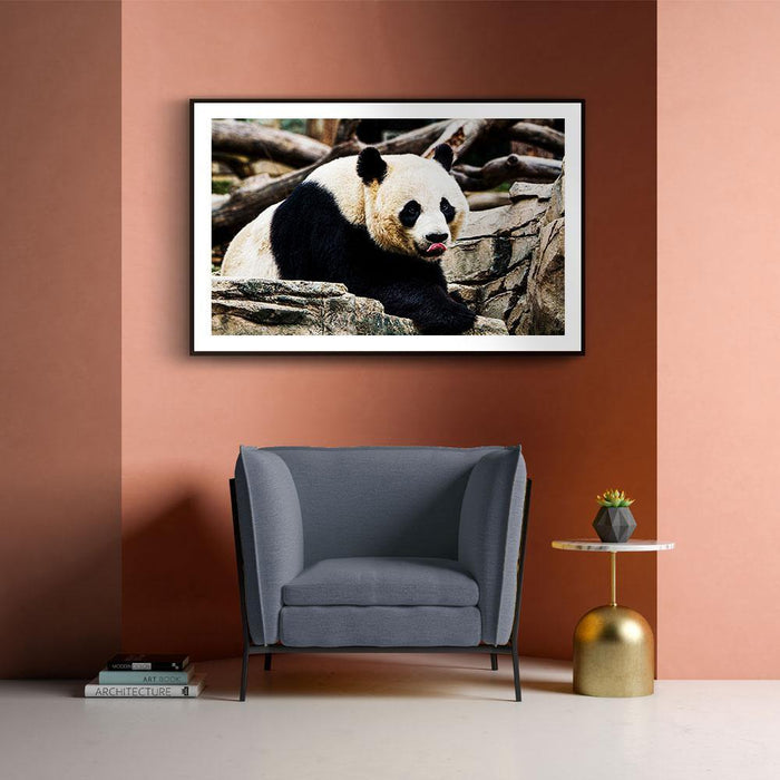 Walljar Giant Panda
