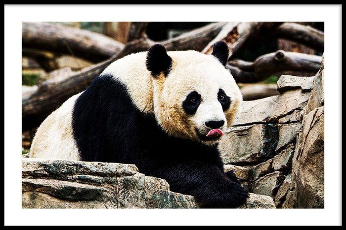 walljar Giant Panda