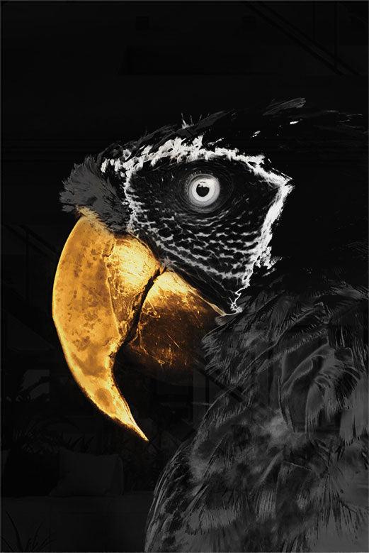 walljar Golden Parrot