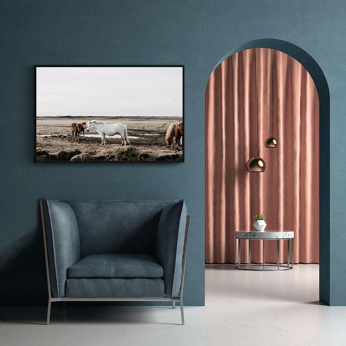 Walljar Groep Paarden