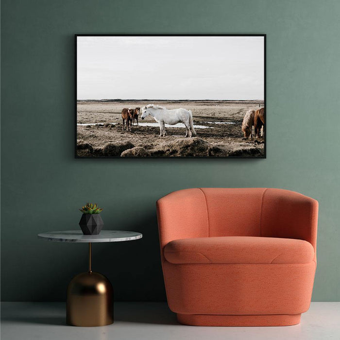 Walljar Groep Paarden