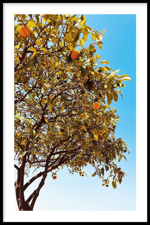 walljar Grow Some Citrus