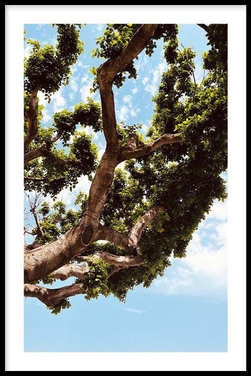 walljar Growing Tree