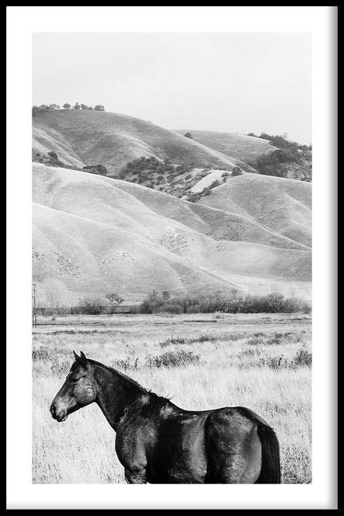 walljar Horse Next To Mountain