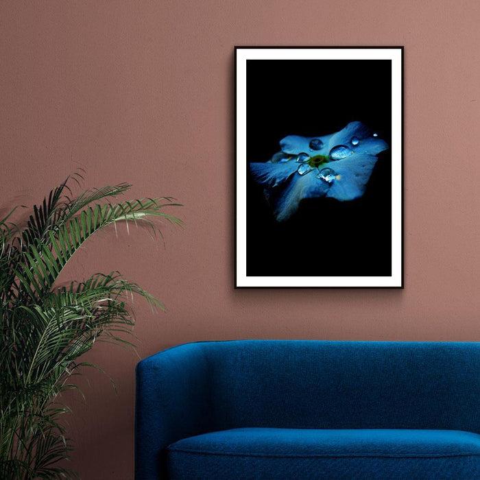 Walljar Hortensia Blauw