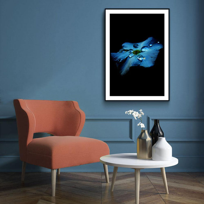 Walljar Hortensia Blauw