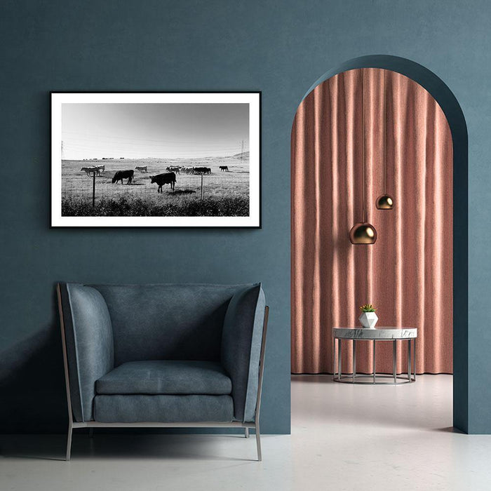 Walljar Koeien In Het Gras