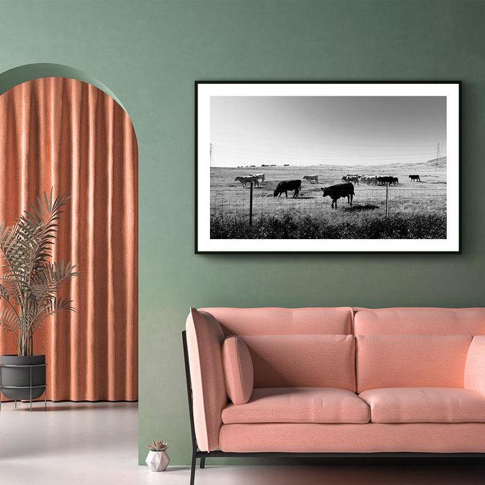 Walljar Koeien In Het Gras