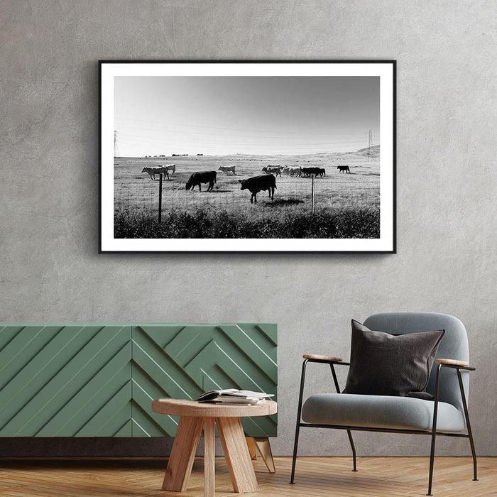 Walljar Koeien In Het Gras