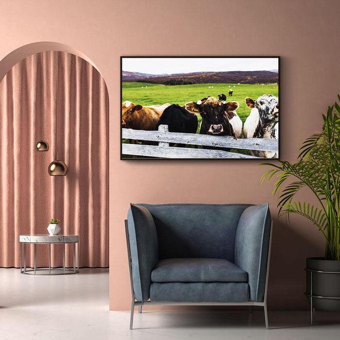 Walljar Koeien In Het Weiland