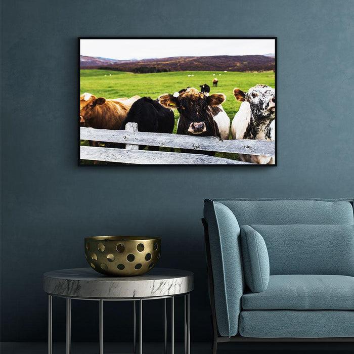 Walljar Koeien In Het Weiland