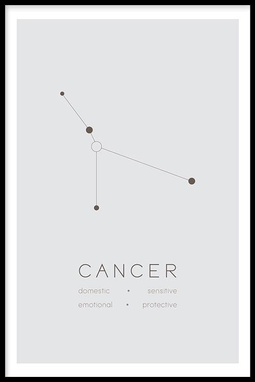 walljar Kreeft Sterrenbeeld