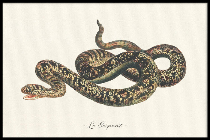 walljar Le Serpent