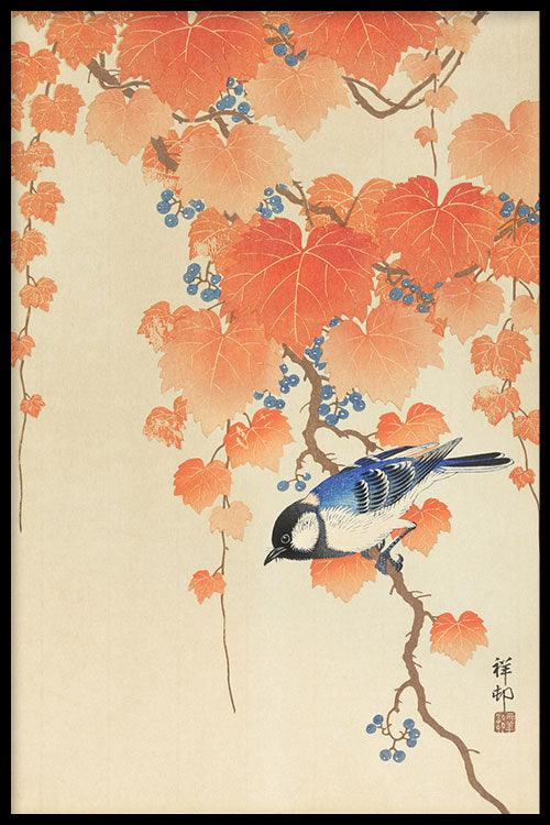 walljar Ohara Koson - Great Tit On Paulownia Branch