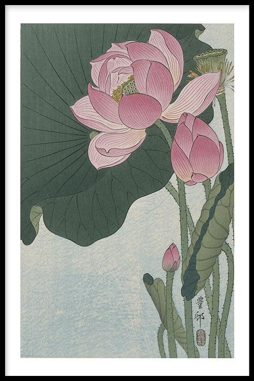 walljar Ohara Koson - Lotus Flower