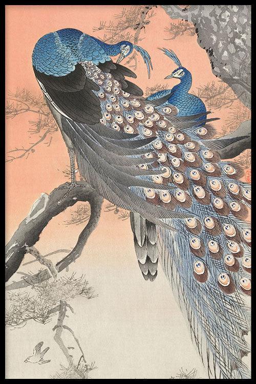 walljar Ohara Koson - Two Peacocks On Tree Branch