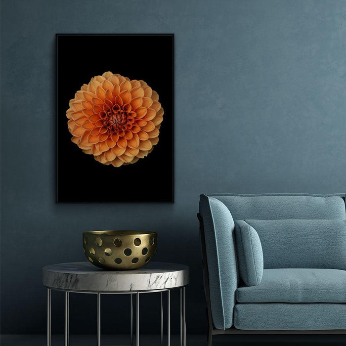 Walljar Oranje Dahlia