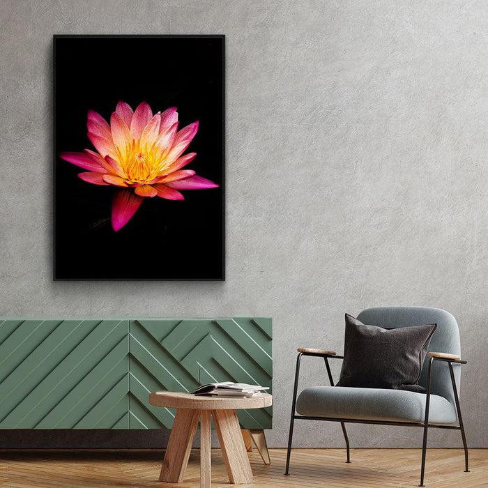 Walljar Paarse Water Lelie