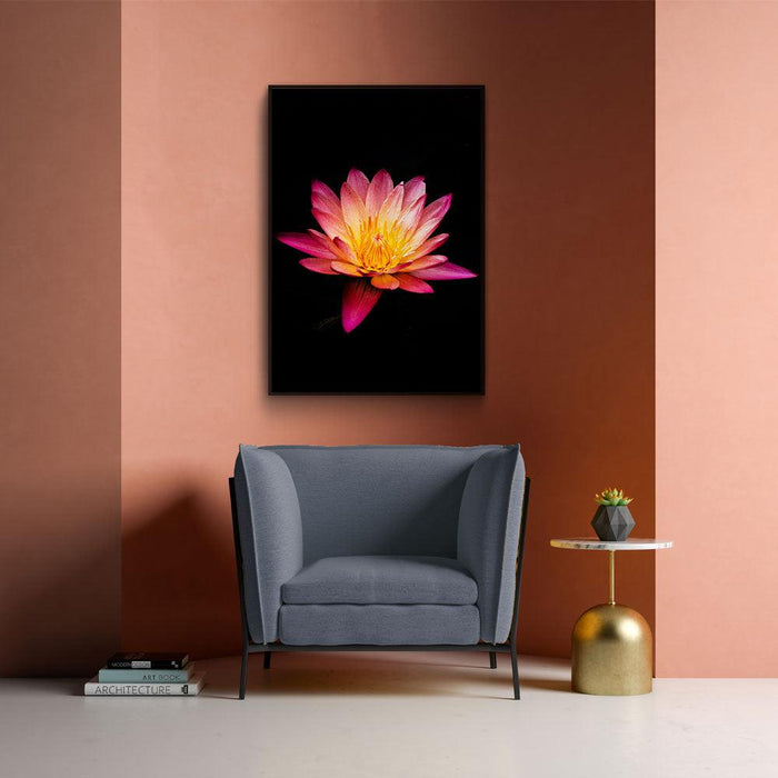 Walljar Paarse Water Lelie