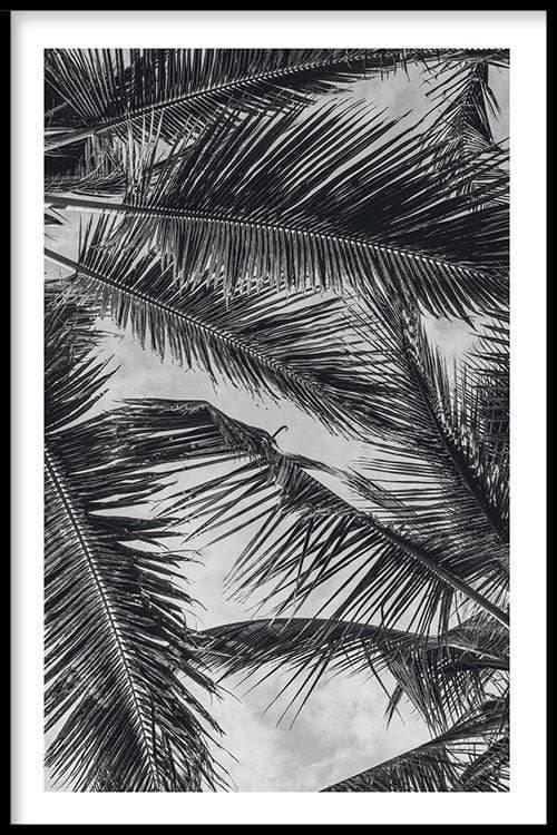 walljar Palm Trees Close Up