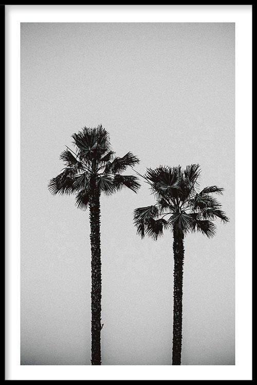 walljar Palm Trees