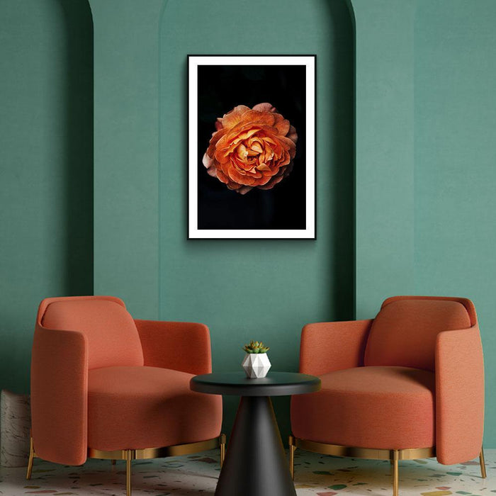 Walljar Pioenroos Oranje