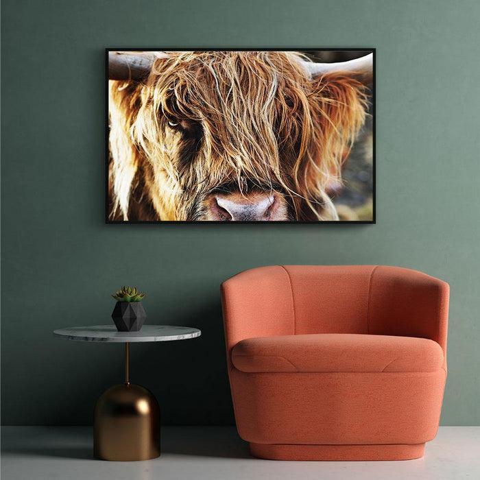 Walljar Schotse Hooglander Up Close
