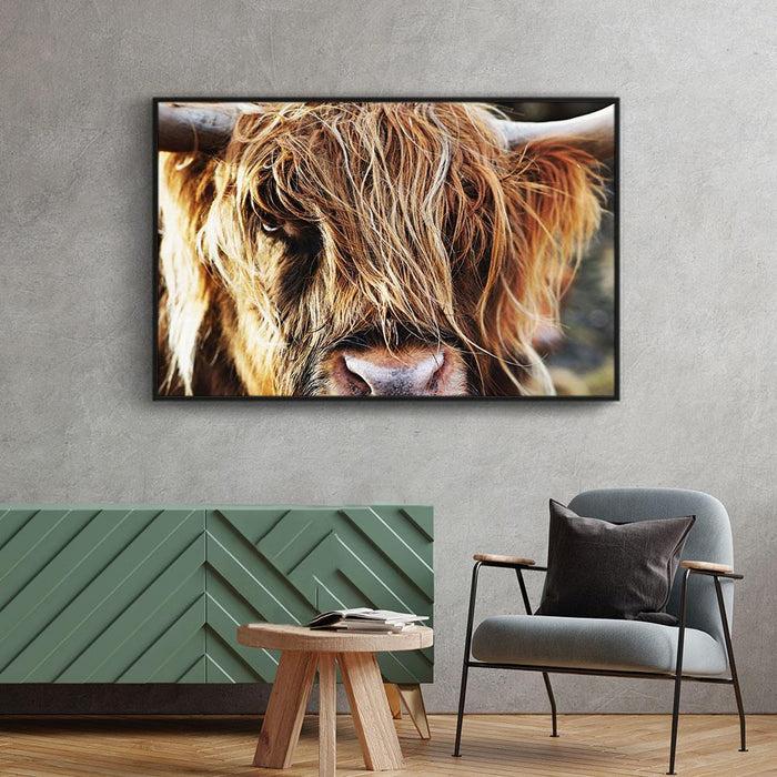 Walljar Schotse Hooglander Up Close