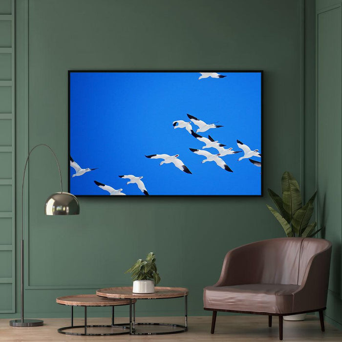 Walljar Sneeuwganzen