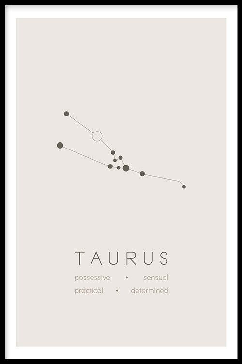 walljar Stier Sterrenbeeld