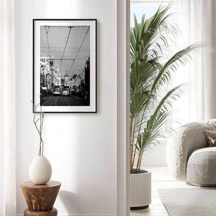 Walljar Trams Of Amsterdam