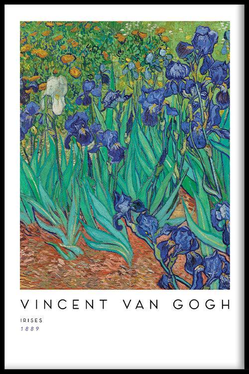 walljar Vincent van Gogh - Irissen II