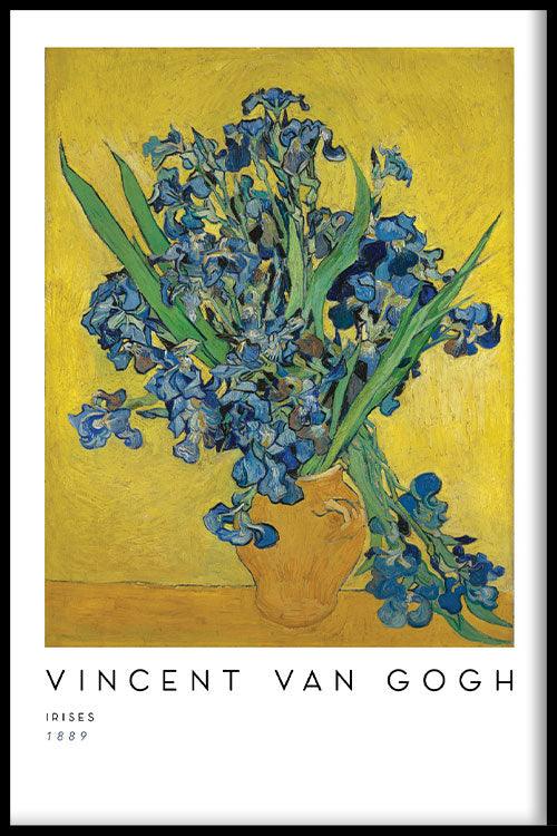 walljar Vincent van Gogh - Irissen