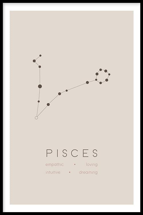 walljar Vissen Sterrenbeeld