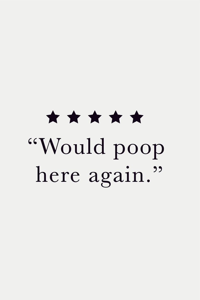 walljar Would Poop Here Again Five Star Review - Toilet Poster