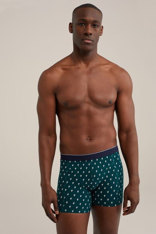We Fashion Boxershort Met Dessin Donkergroen