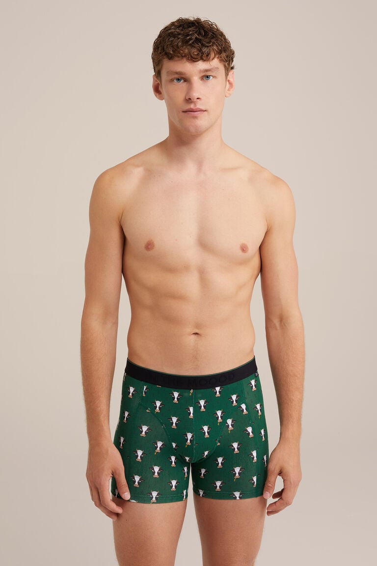 We Fashion Boxershort Met Dessin Groen