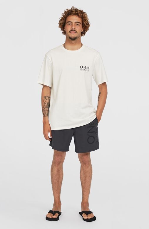 We Fashion Original Cali 16'' Zwembroek Grijs