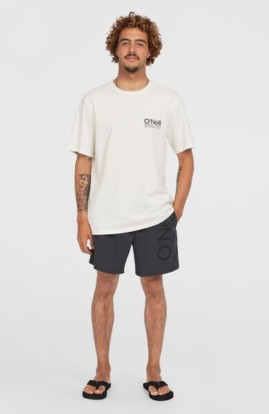 We Fashion Original Cali 16'' Zwembroek Grijs