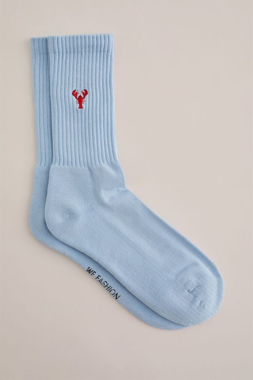 We Fashion Sokken Met Embroidery Lichtblauw