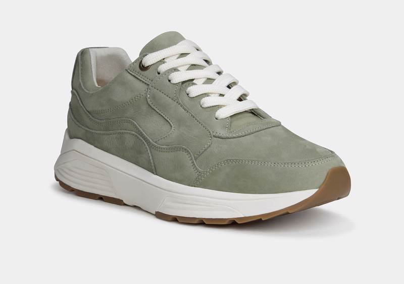 Xsensible Golden Gate Men Pine