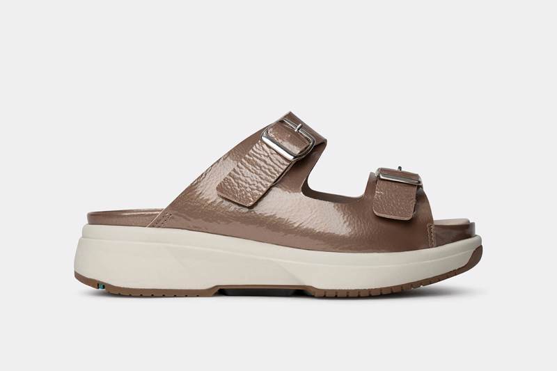 xsensible Hawaii Bruin