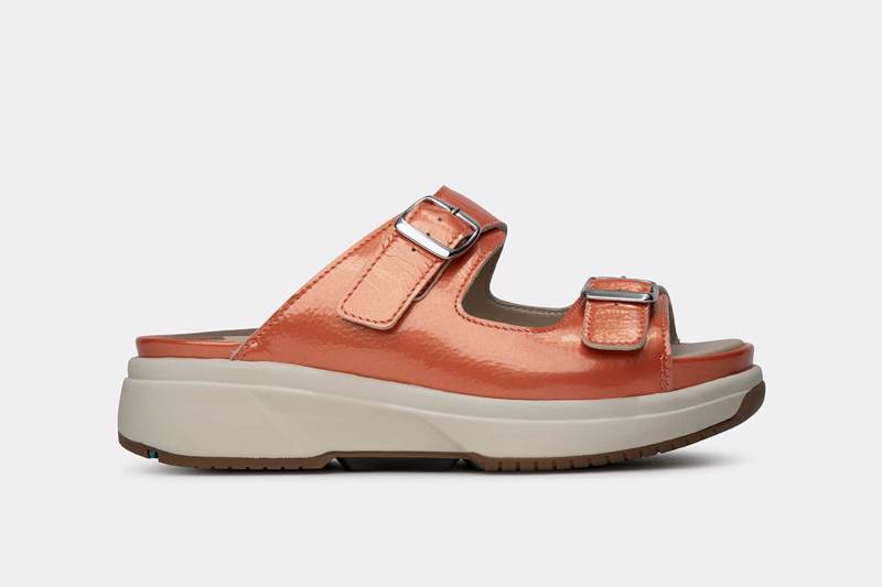 xsensible Hawaii Coral