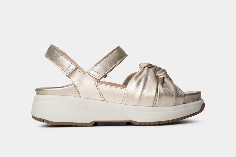 xsensible Martinique Champagne