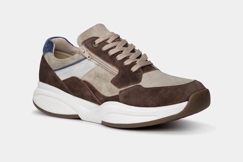 Xsensible SWX14 Bruin